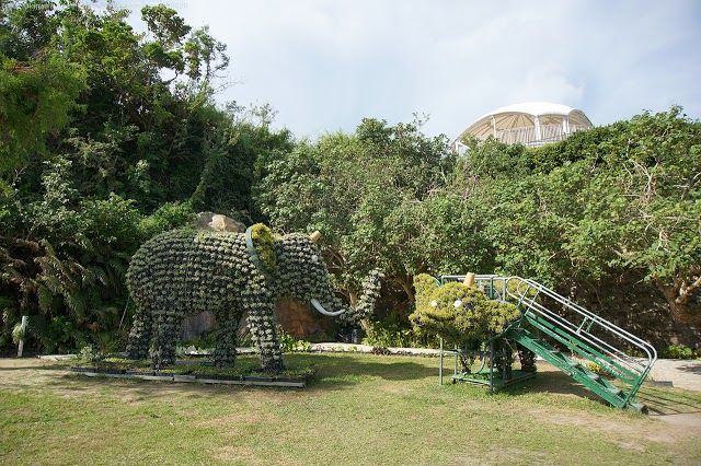 Okinawa Children's World Zoo and Museum